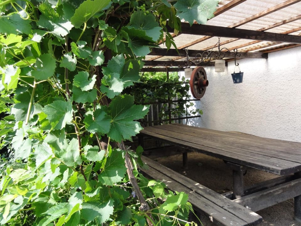 BBQ facilities