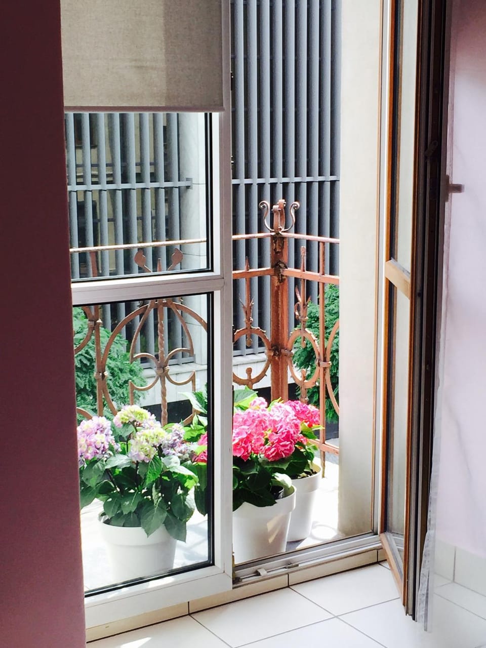 View (from property/room), Balcony/Terrace