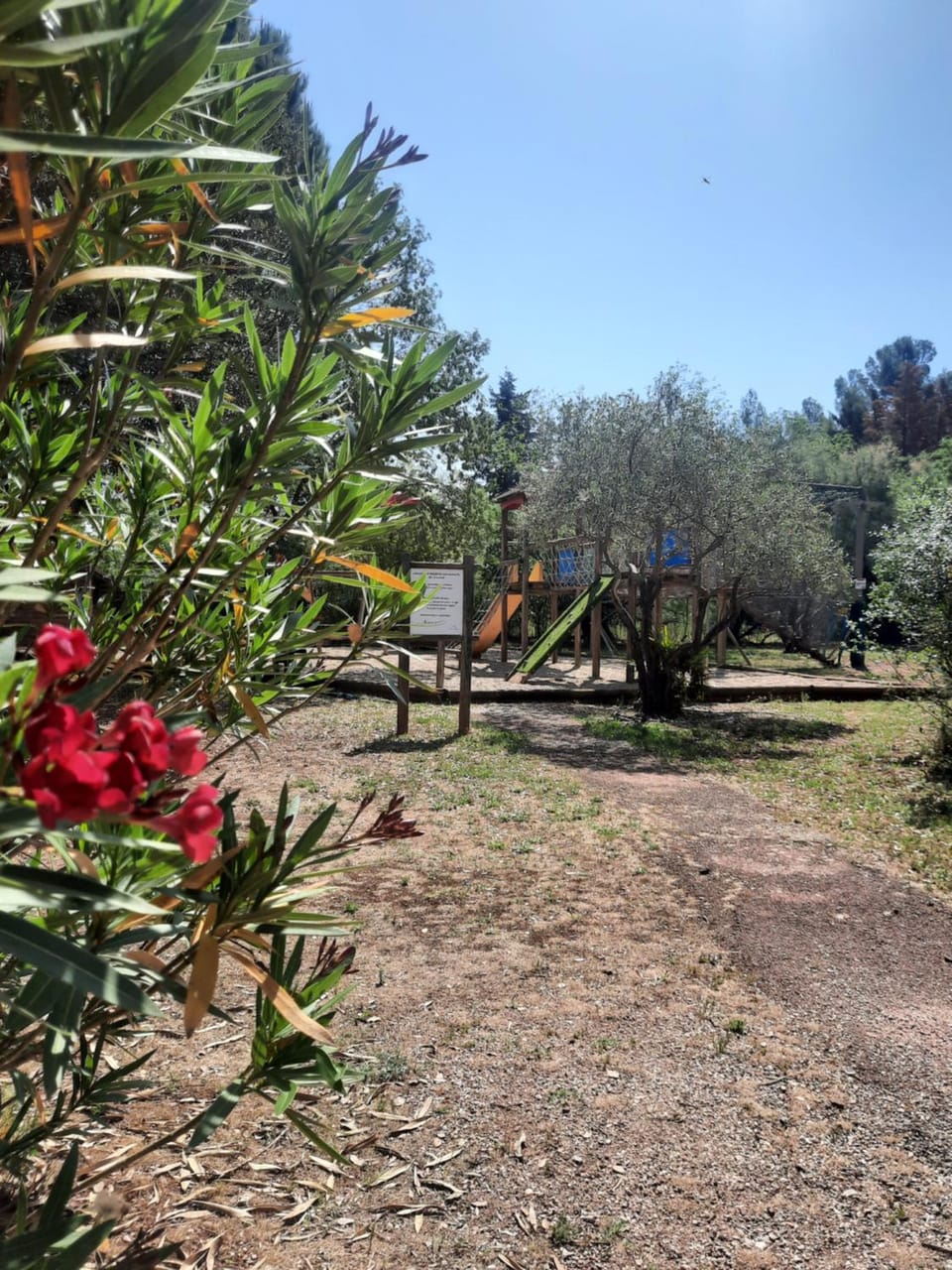 Children play ground, Garden, Garden