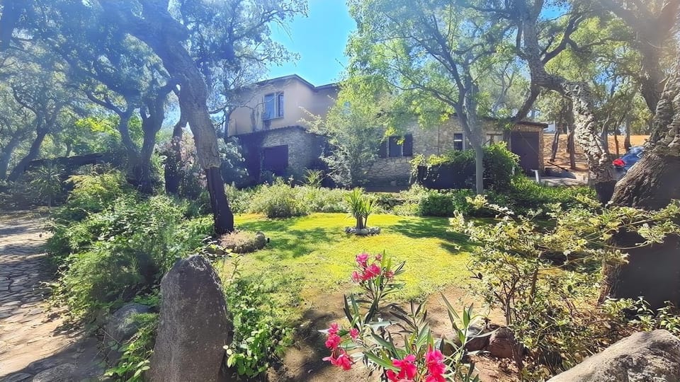 Property building, Spring, Day, Natural landscape, Garden, Garden view