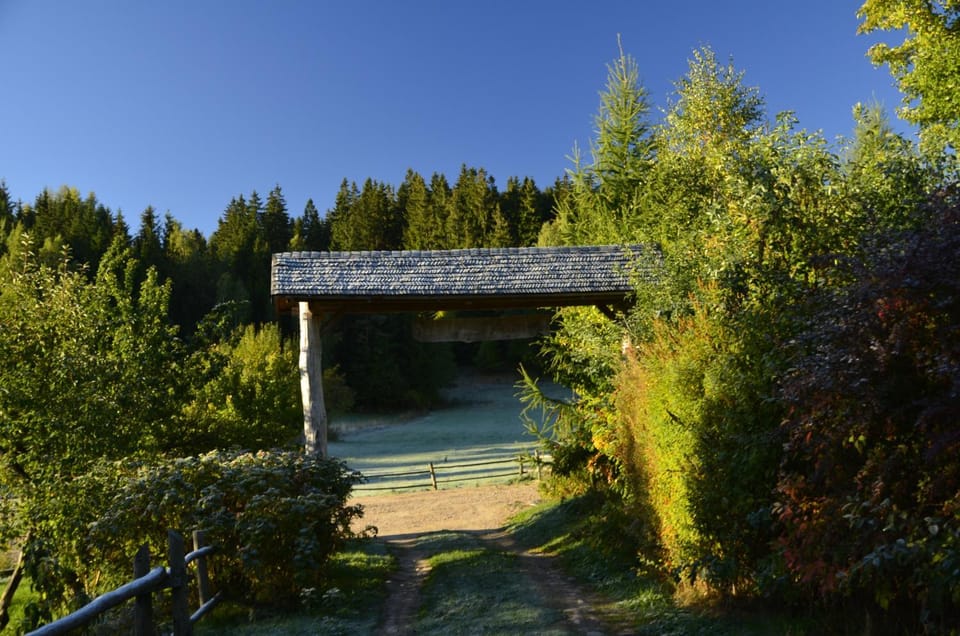 Garden, View (from property/room)