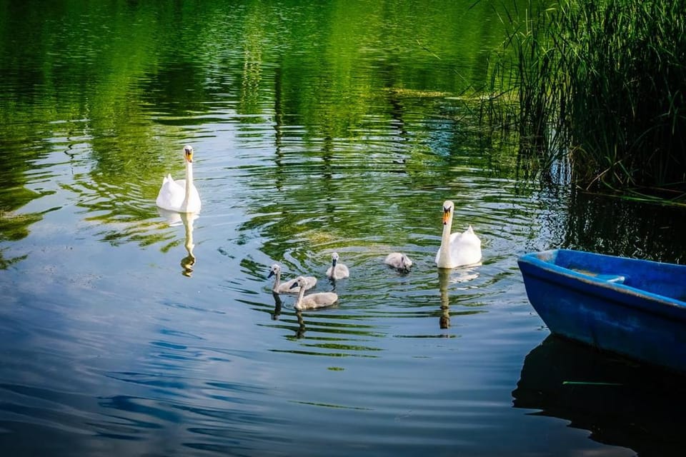 Lake view