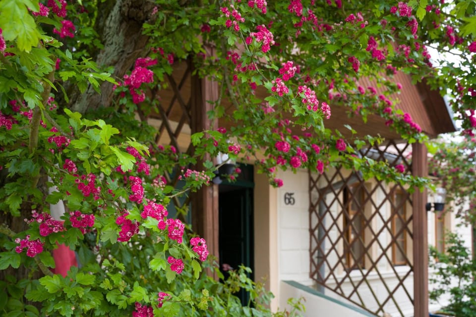 Zagroda Chłopska Farm Stay in West Pomeranian Voivodeship, Poland