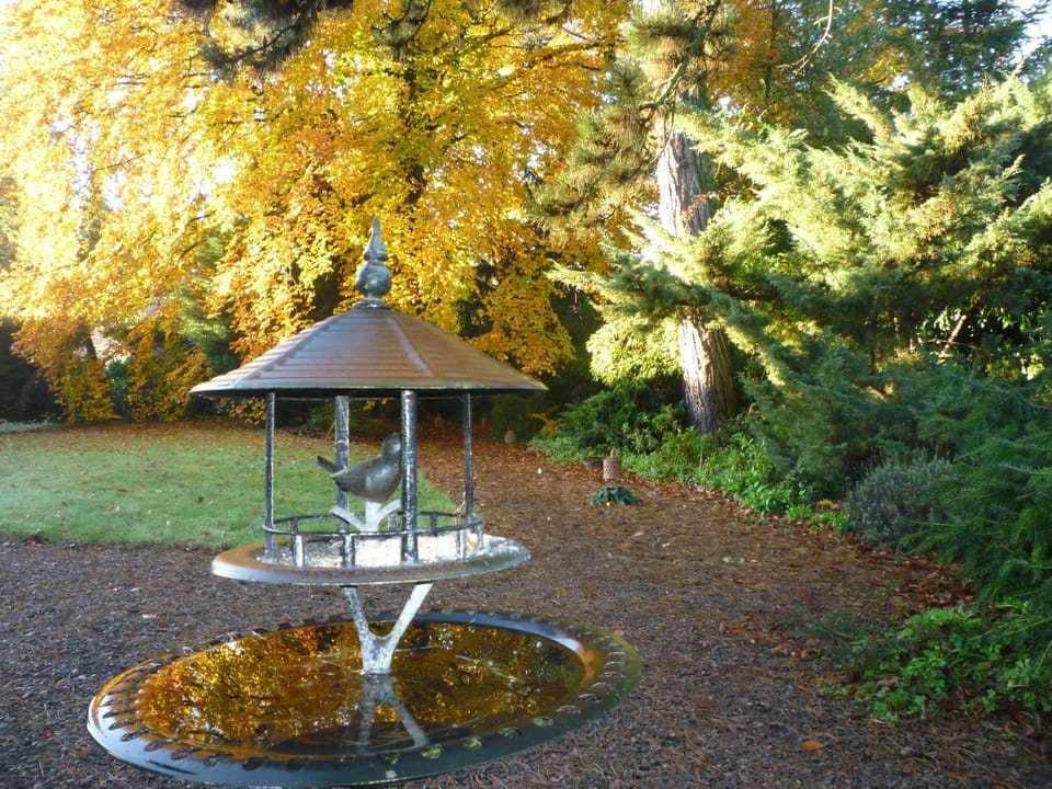 au vieux cèdre Bed and Breakfast in Hauts-de-France