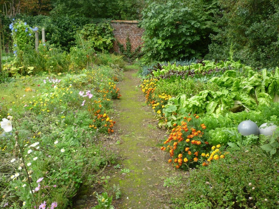 au vieux cèdre Bed and Breakfast in Hauts-de-France