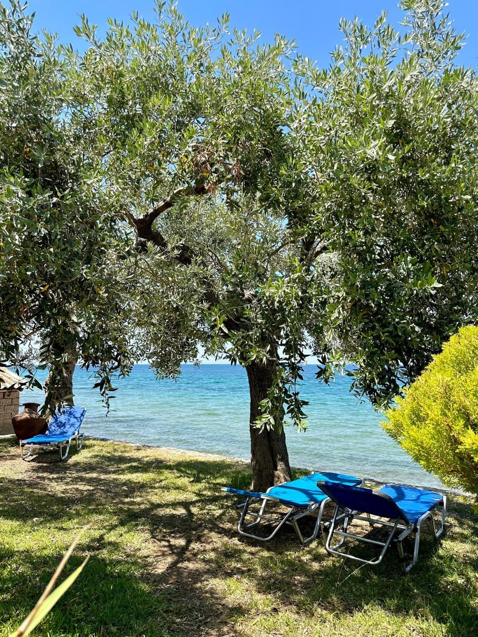 Natural landscape, Beach, Sea view, sunbed