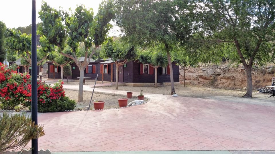 Area and facilities