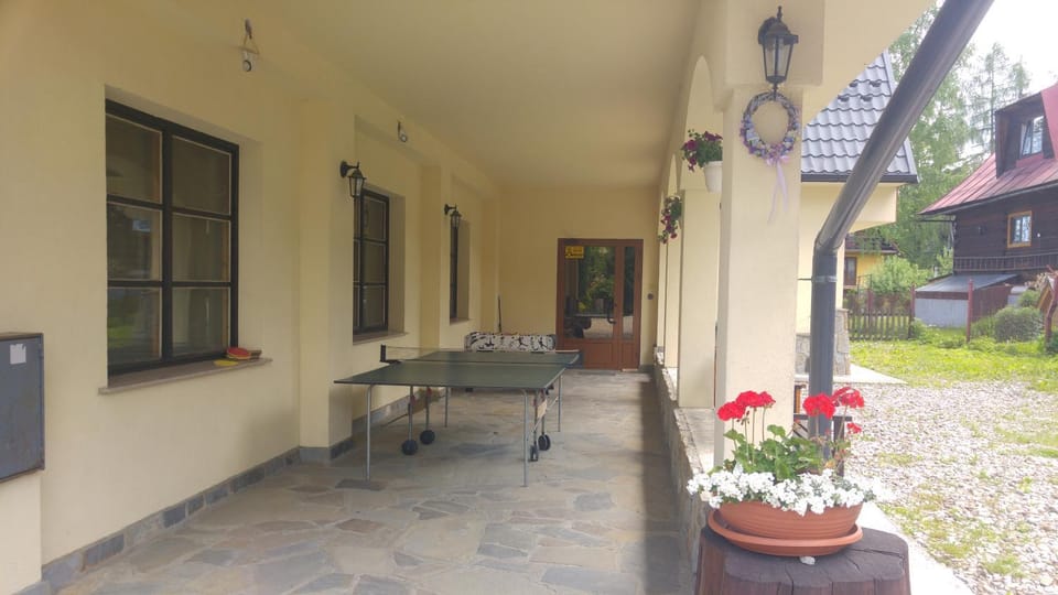 Patio, Table tennis