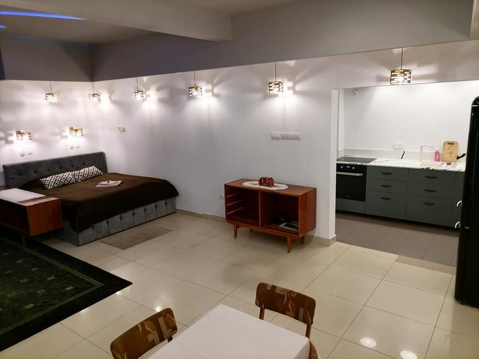 Bed, Kitchen or kitchenette, Living room, Photo of the whole room, Dining area, Bedroom, oven, stove