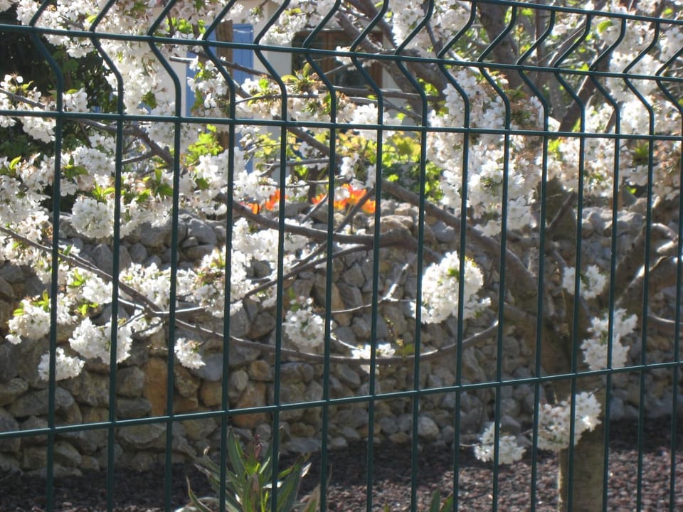Les S Sens du Sud Bed and Breakfast in Occitanie