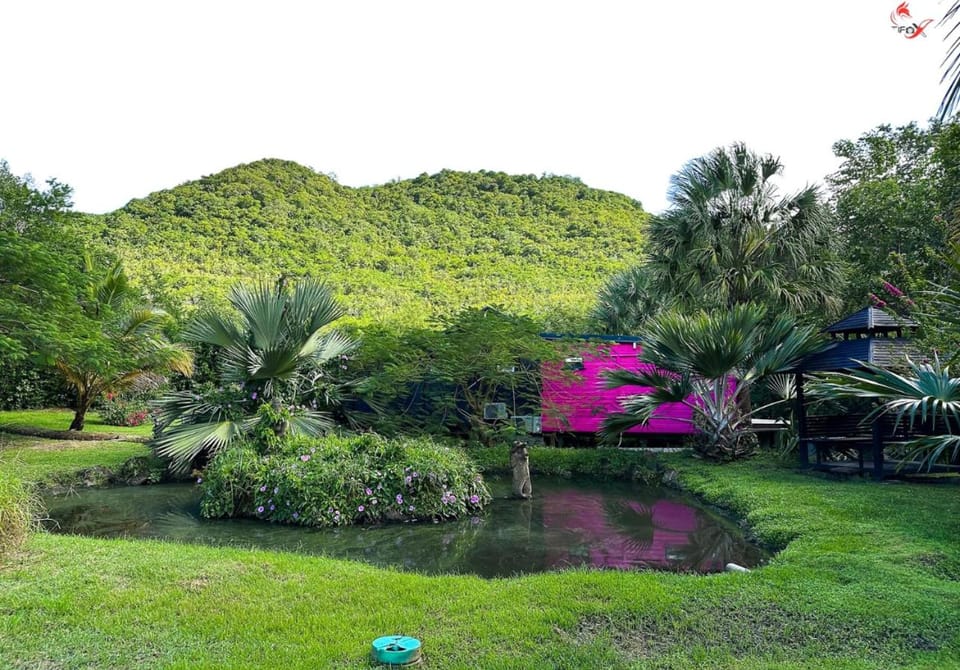 Natural landscape, Garden