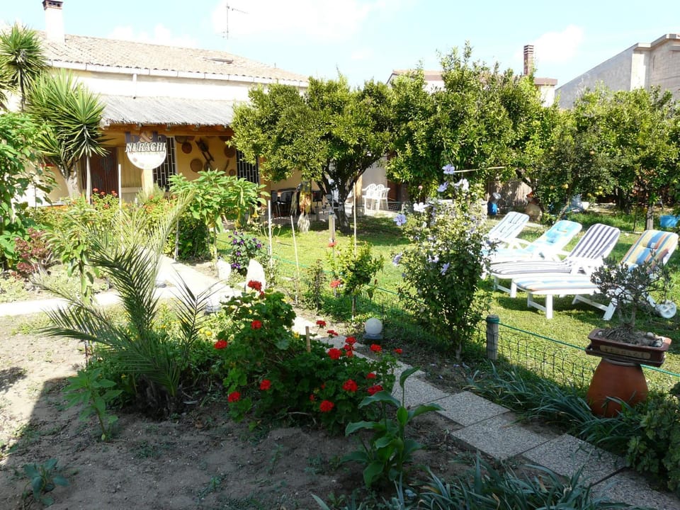 Garden view