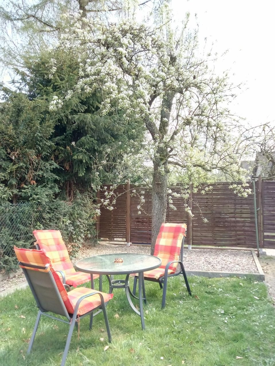 Patio, Garden, On site