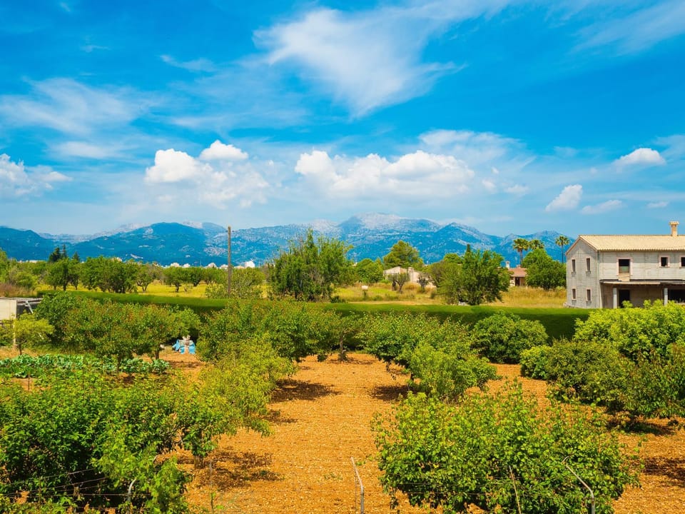 Can Pascolet Villa in Pla de Mallorca