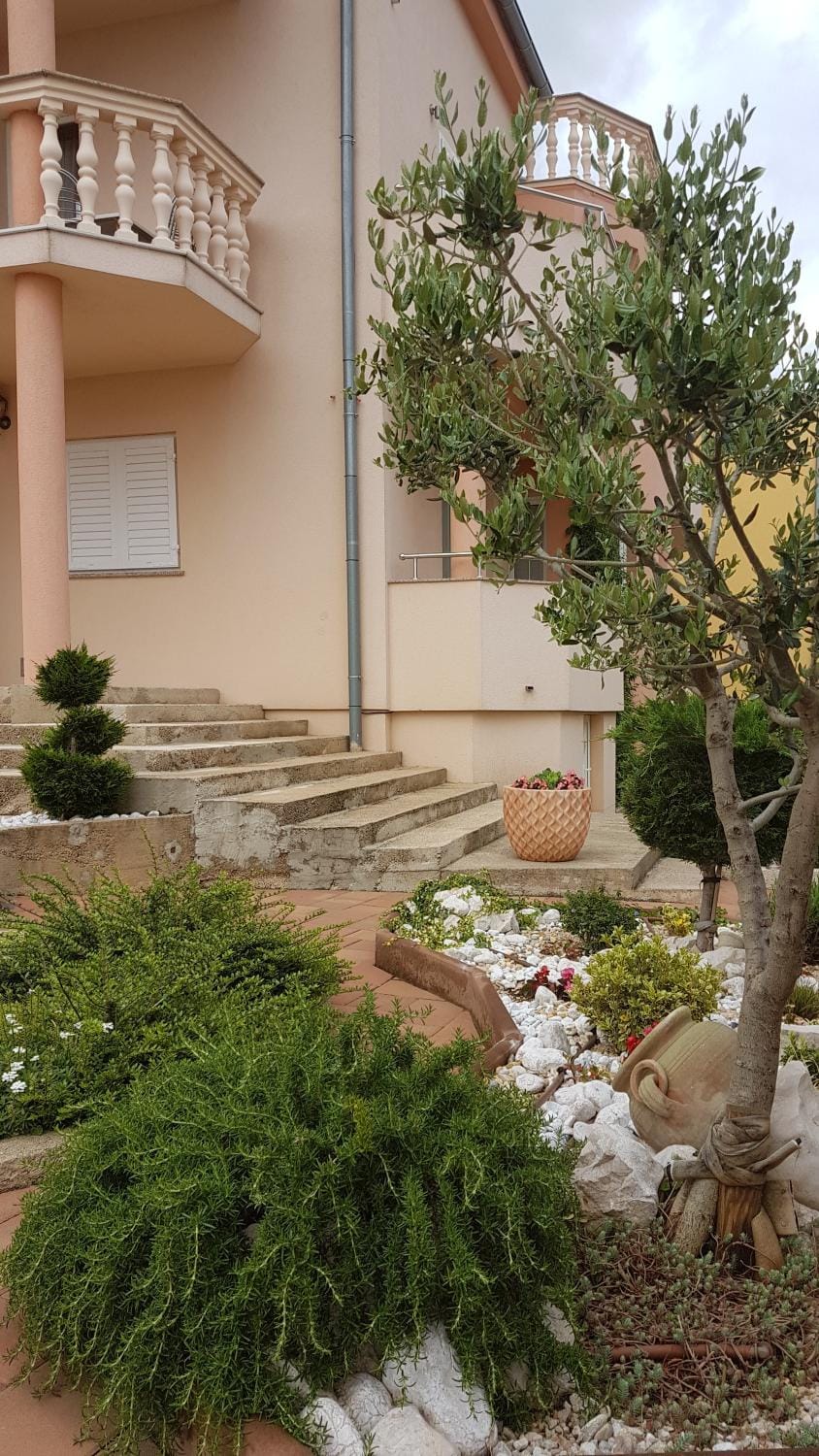 Patio, Neighbourhood, Garden