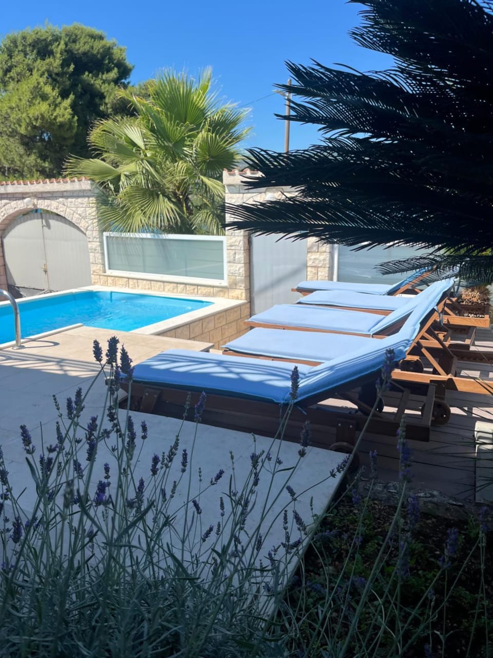 Day, Swimming pool, sunbed