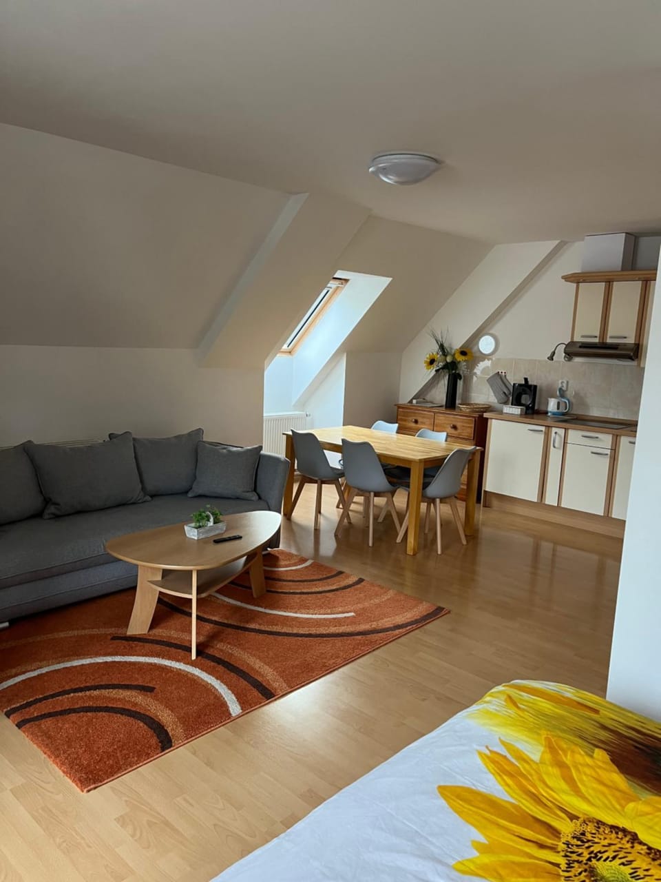 Apartmán Labská Apartment in Czechia