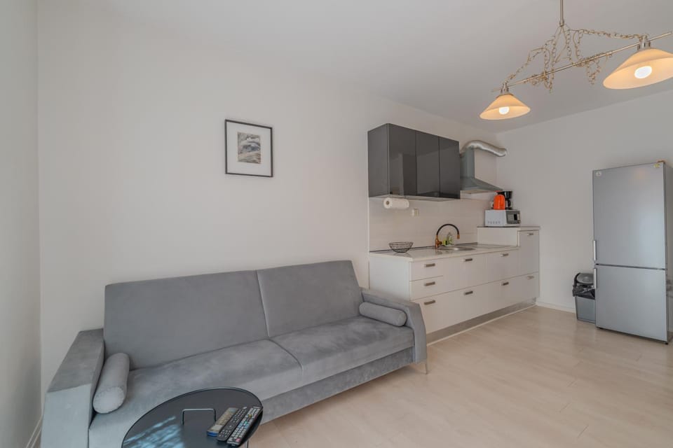 Living room, kitchen, kitchen