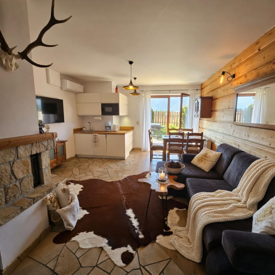 Living room, Seating area, fireplace, air conditioner