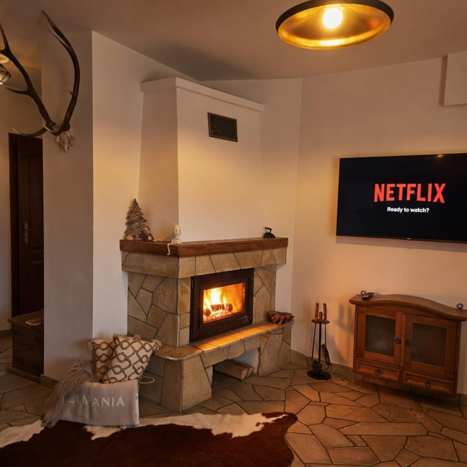 Living room, fireplace, air conditioner