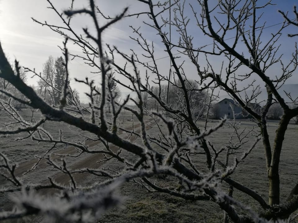 Natural landscape, Winter