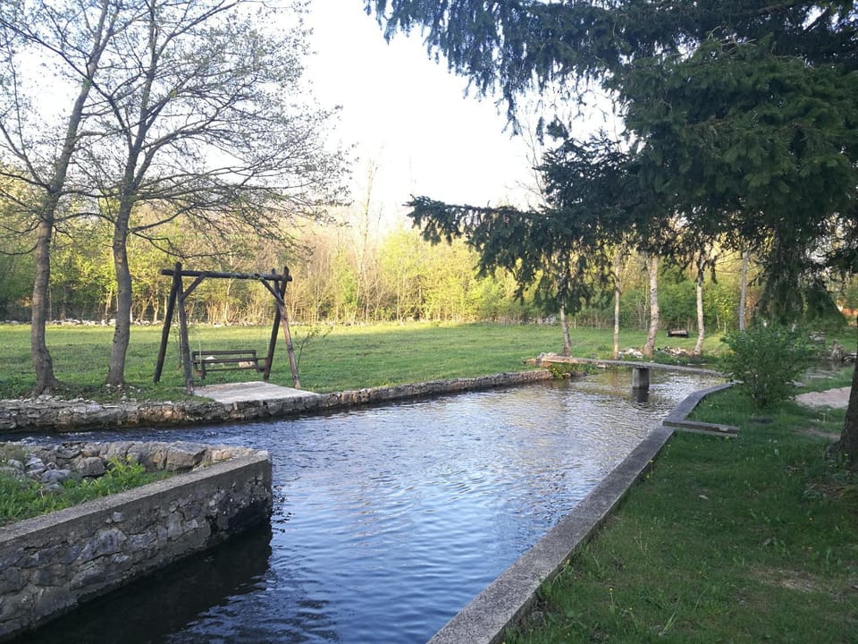 Property building, Garden, Garden view, River view