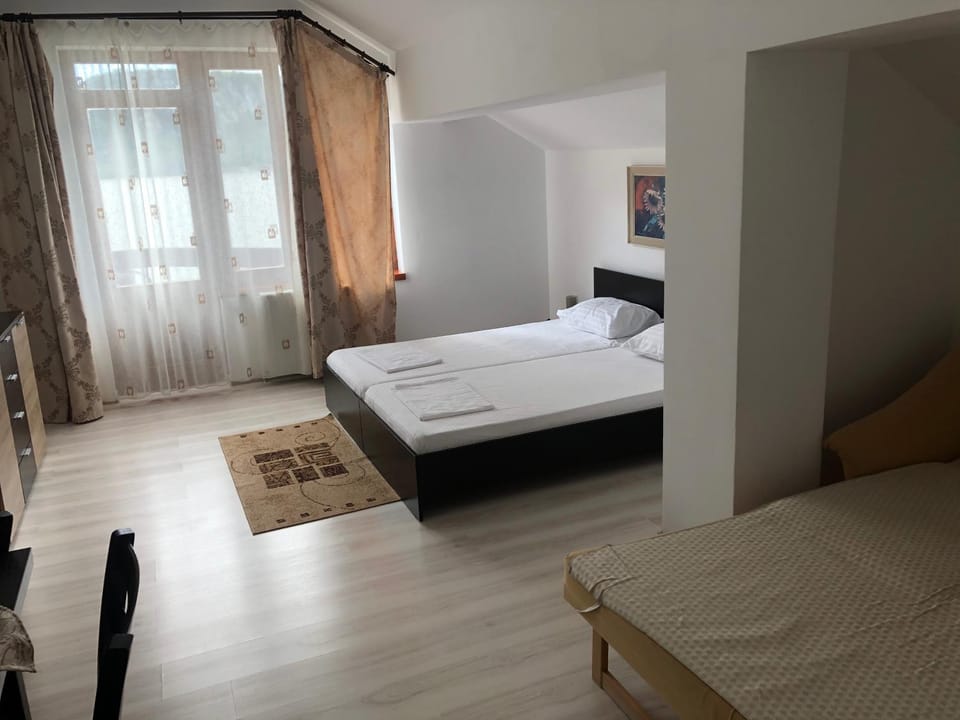 Pensiunea Cazanele Dunarii Bed and Breakfast in Serbia