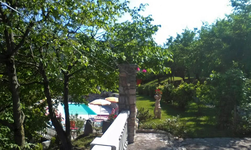 Garden, Swimming pool, Swimming pool