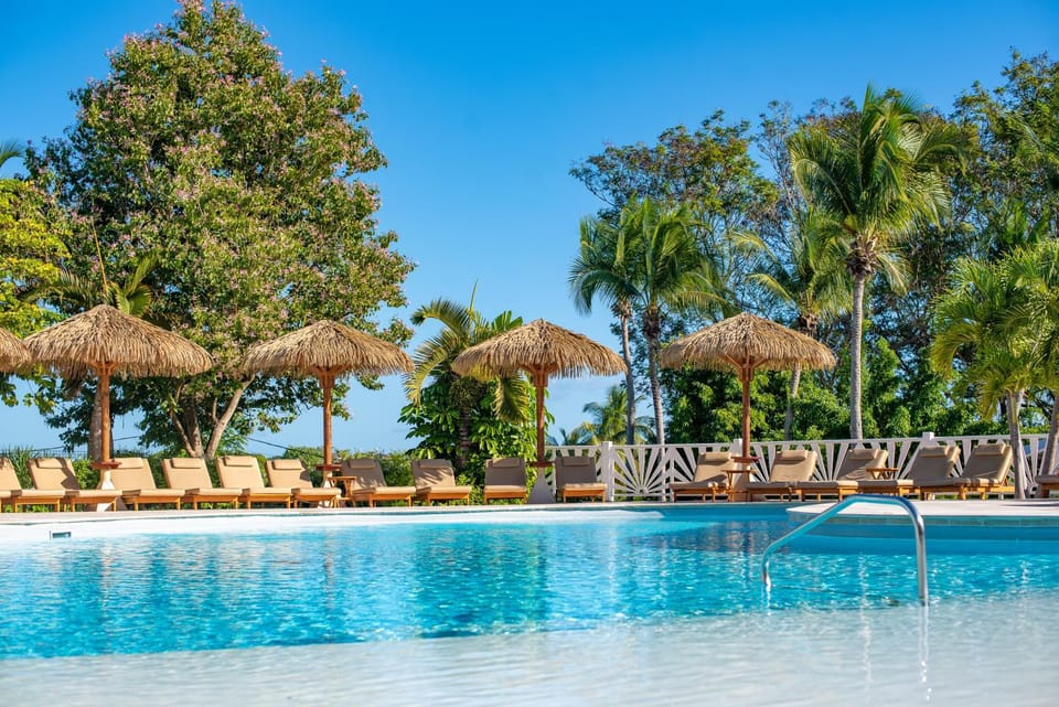 Pool view, Swimming pool, sunbed