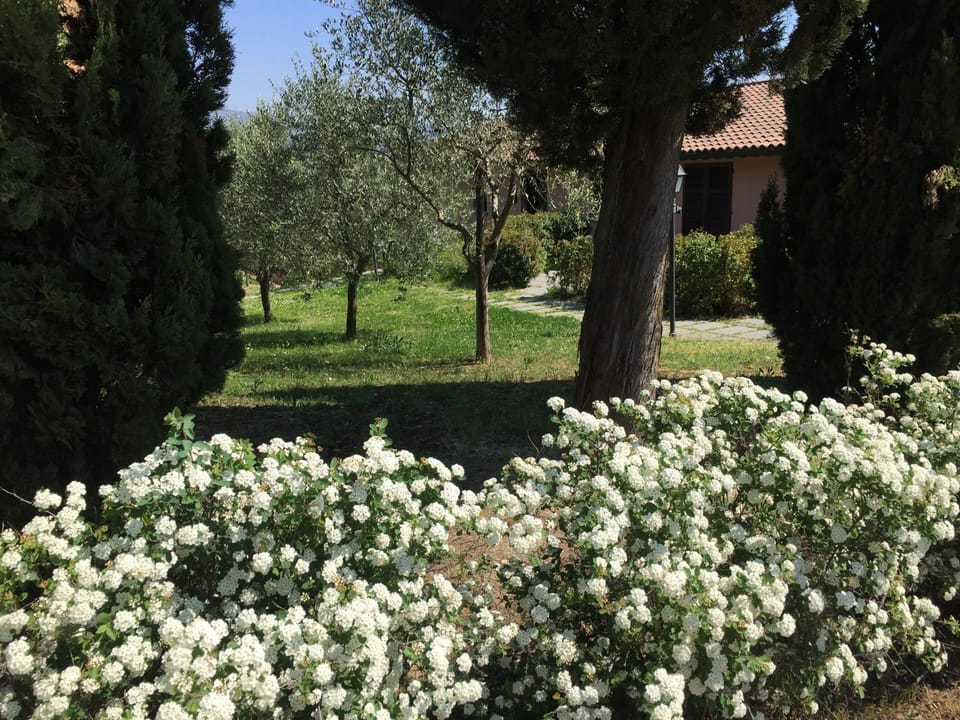 Villa Il Principino Country Resort Villa in Emilia-Romagna