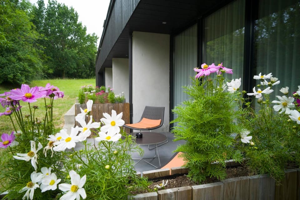 Patio, Garden view
