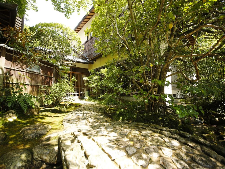 Property building, Day, Garden