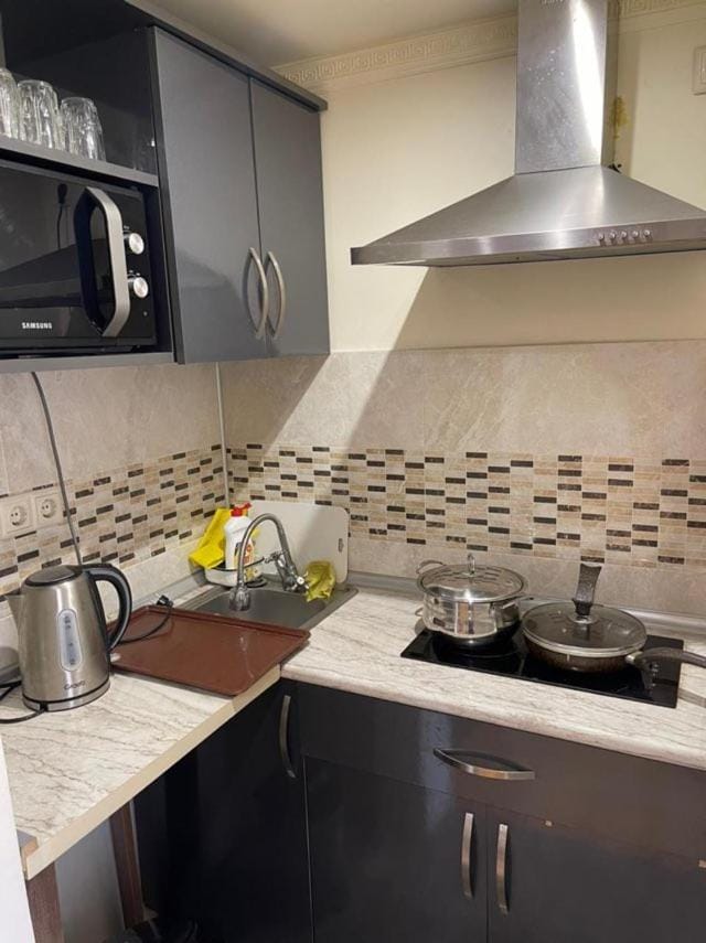 Coffee/tea facilities, Kitchen or kitchenette, minibar, stove
