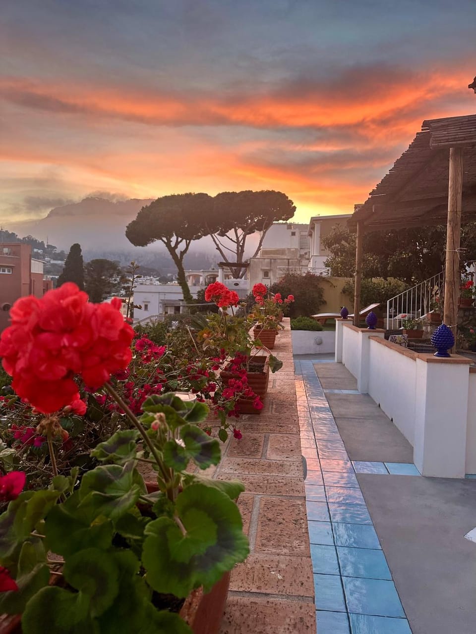 Capri Joy Apartments House in Capri