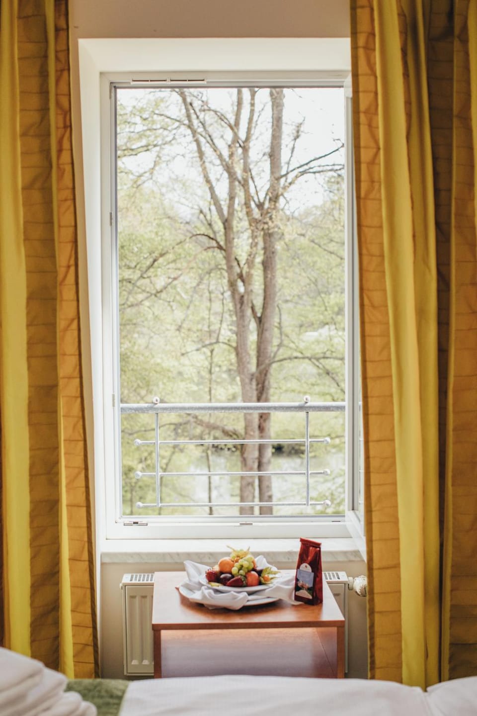 View (from property/room)