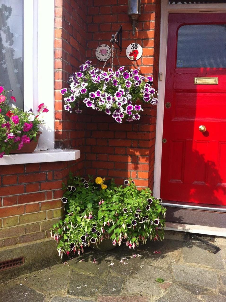 38 Whitehall Road Bed and Breakfast in Harrow