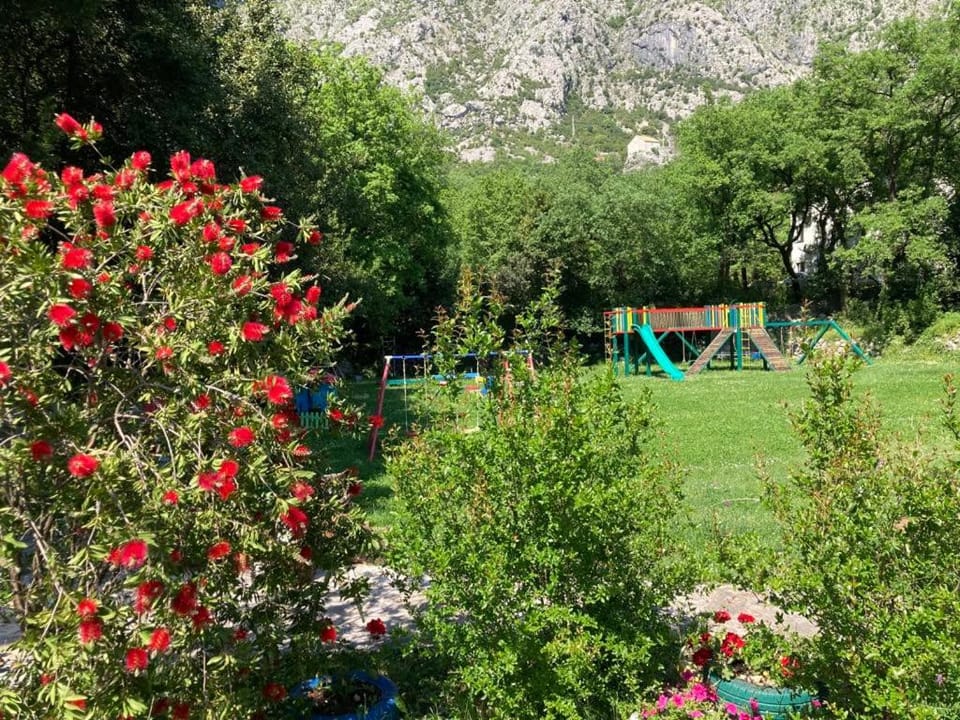 Apartments Villa Eden Apartment in Kotor Municipality