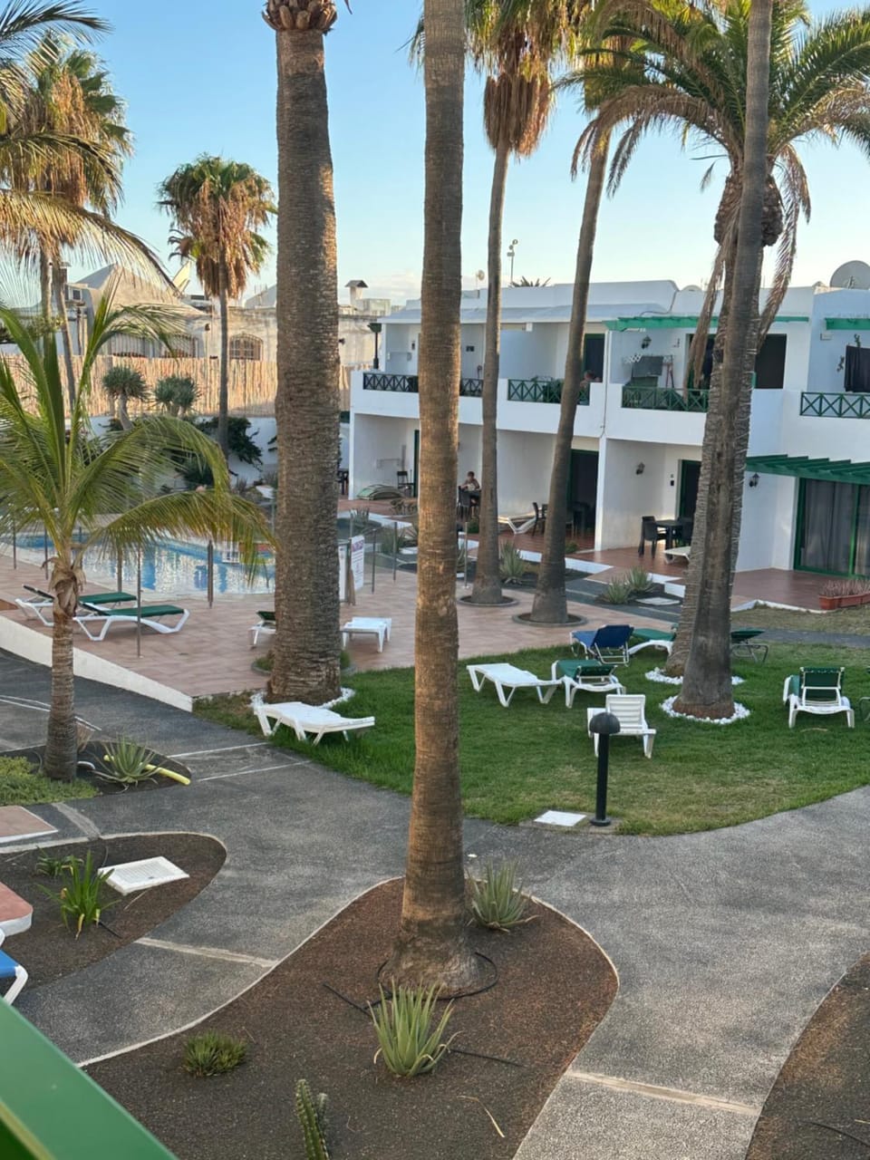 Garden view