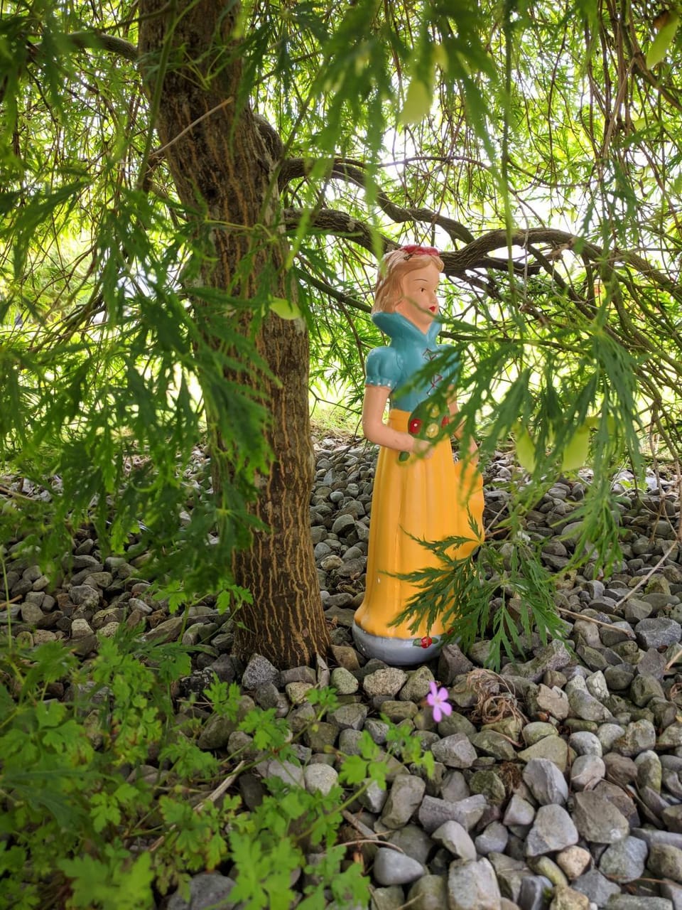 Garden view