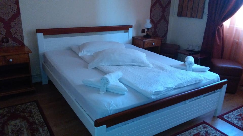 Vila Nicoleta Bed and Breakfast in Sibiu