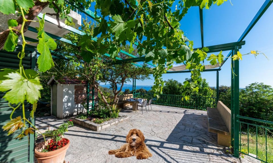 House Dida Mate - cozy house in nature with heated pool House in Tučepi