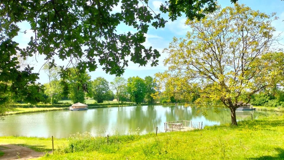 Lake view