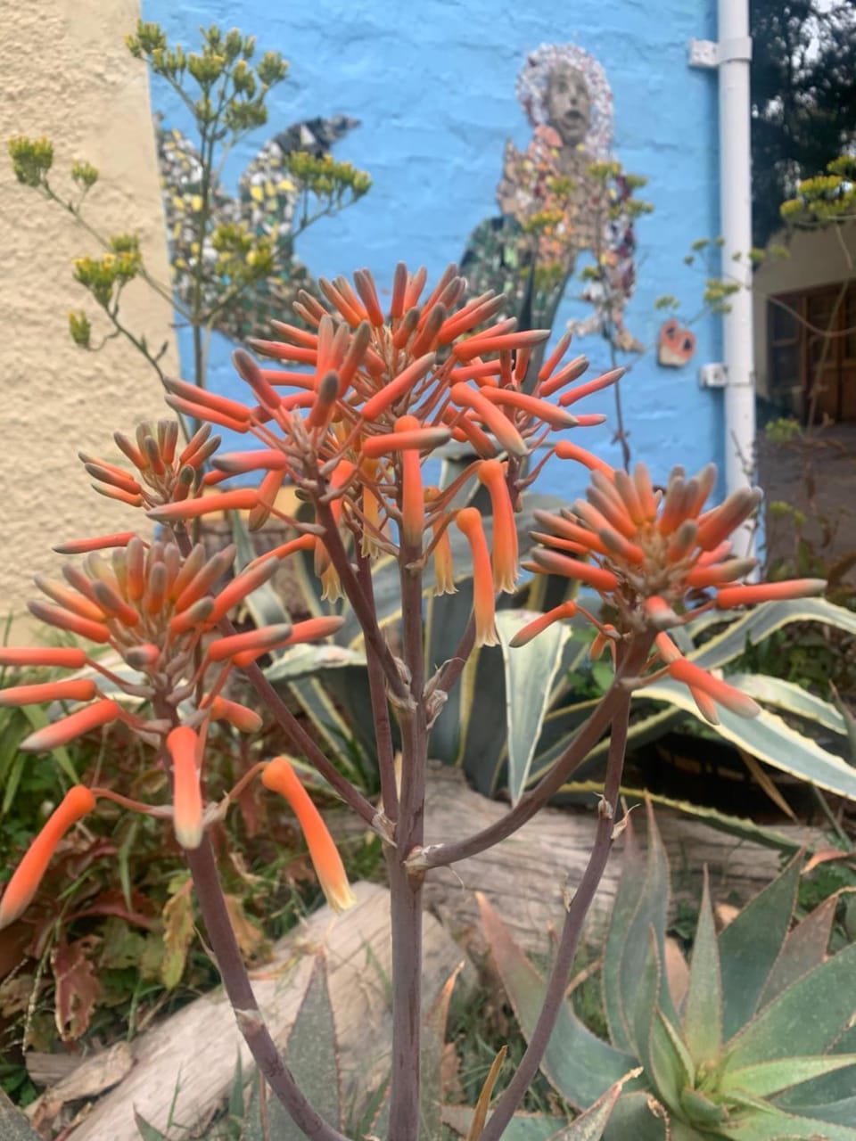 ArtKaroo Stay Apartment in Western Cape