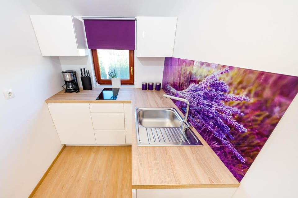 Kitchen or kitchenette, Photo of the whole room, Dining area