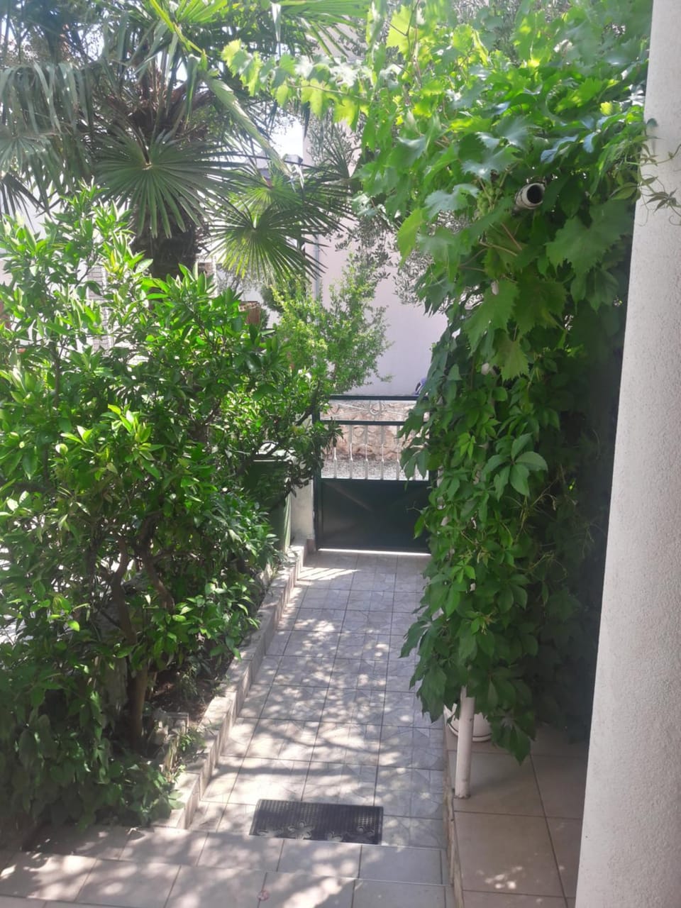 Patio, Quiet street view