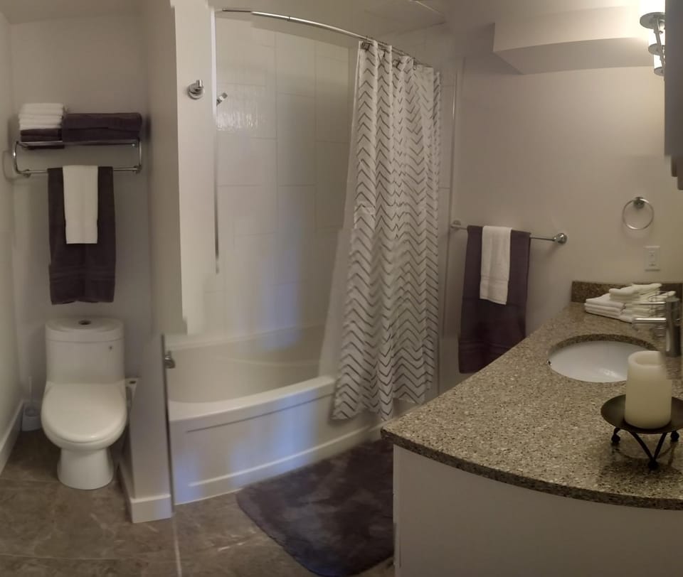 Toilet, Bathroom, Photo of the whole room