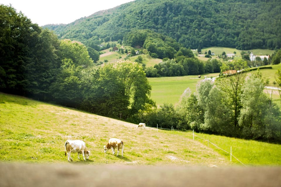 Natural landscape, View (from property/room)