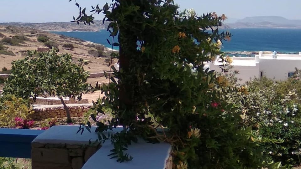 Stella's Home Apartment in Naxos, Naxos and Lesser Cyclades, Greece