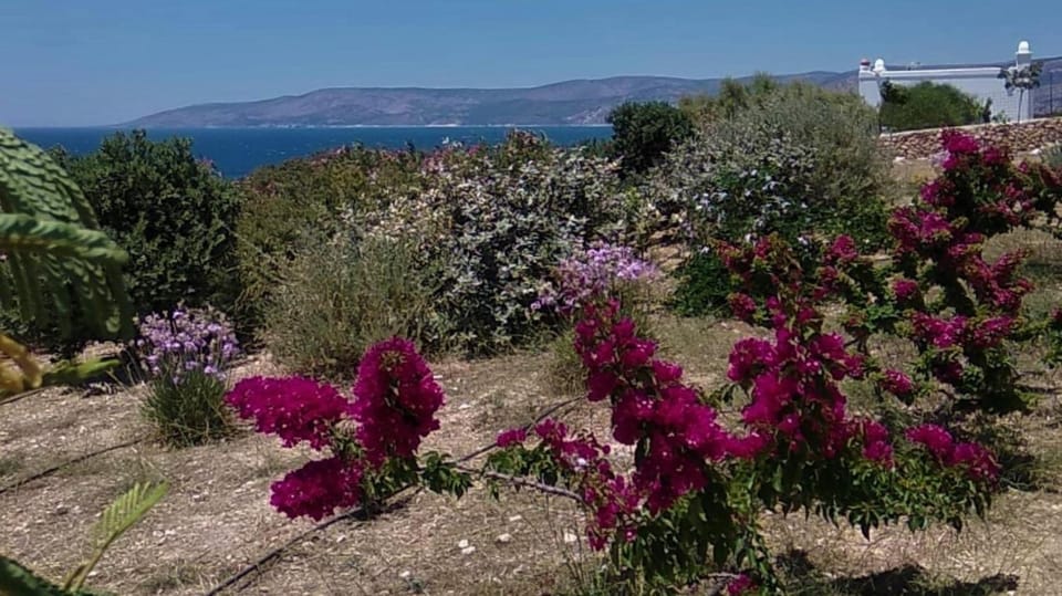 Stella's Home Apartment in Naxos, Naxos and Lesser Cyclades, Greece