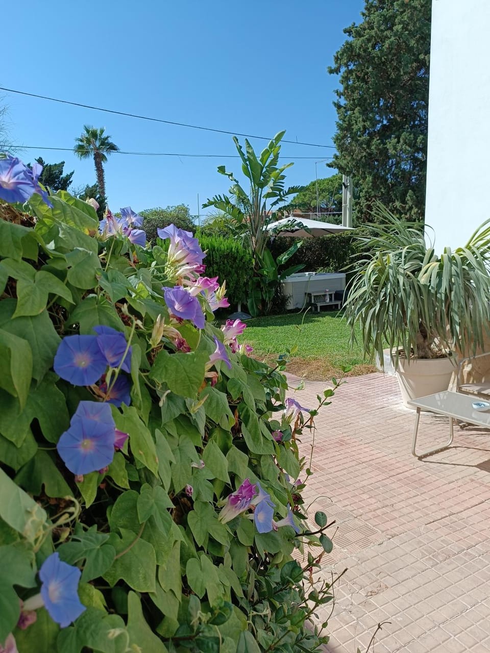 Garden, Hot Tub